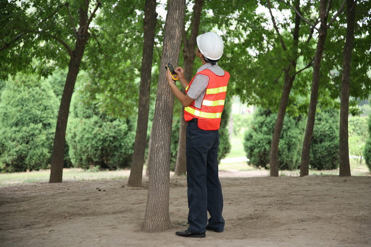 1513505805585146.jpg 森林病蟲害.jpg