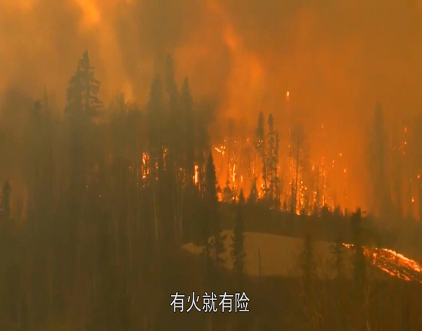 1666770281912445.jpg 圖片20.jpg