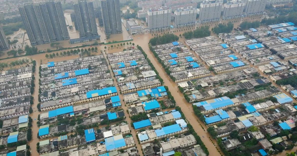 1666770339132279.jpg 圖片29.jpg