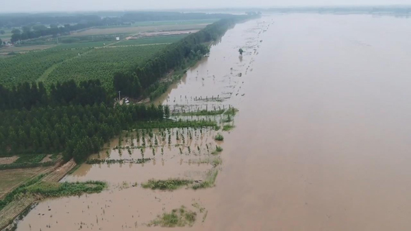 1666770467119279.jpg 圖片46.jpg